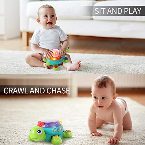 Montessori Toys To Encourage Crawling (7 Montessori Toys We Recommend)